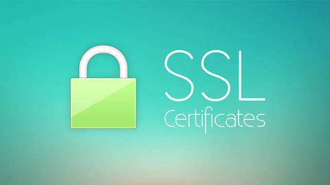 为什么要在公司网站上安装SSL证书?